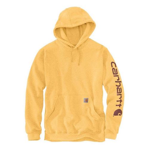 Men's Carhartt Loose Fit Midweight Logo Sleeve Graphic Hoodie - Primary Image