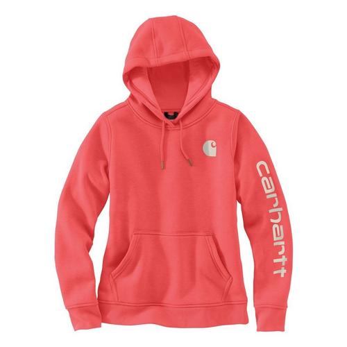 Women's Carhartt Clarksburg Graphic Sleeve Hoodie - Primary Image