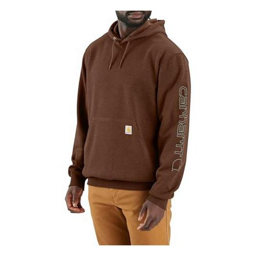 Men's Carhartt Loose Fit Midweight Logo Sleeve Graphic Hoodie - Primary Image