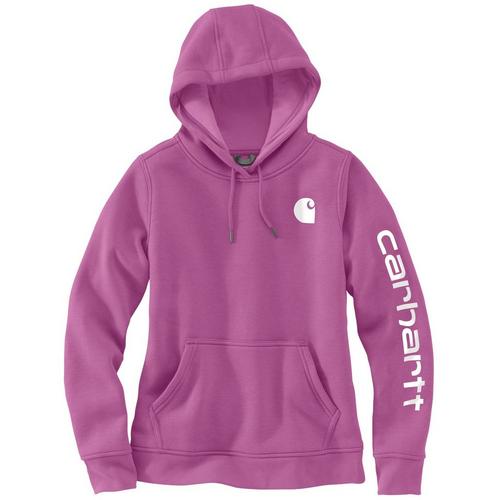 Women's Carhartt Iconic Clarksburg Logo Hoodie - Primary Image