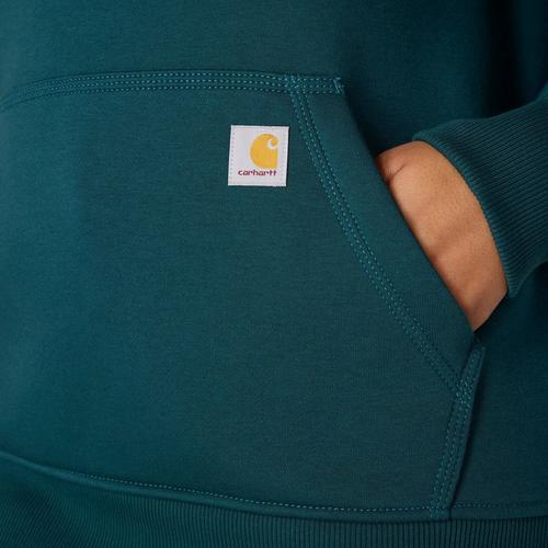 Women's Carhartt Clarksburg Graphic Sleeve Hoodie - Primary Image