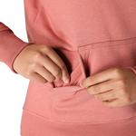 Women's Carhartt Iconic Clarksburg Logo Hoodie - Thumbnail 3 of 10