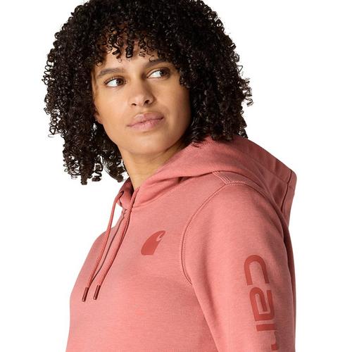 Women's Carhartt Iconic Clarksburg Logo Hoodie - Primary Image