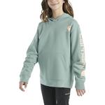 Kids' Carhartt Logo Hoodie - Thumbnail 3 of 3