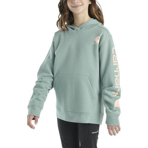 Kids' Carhartt Logo Hoodie - Primary Image