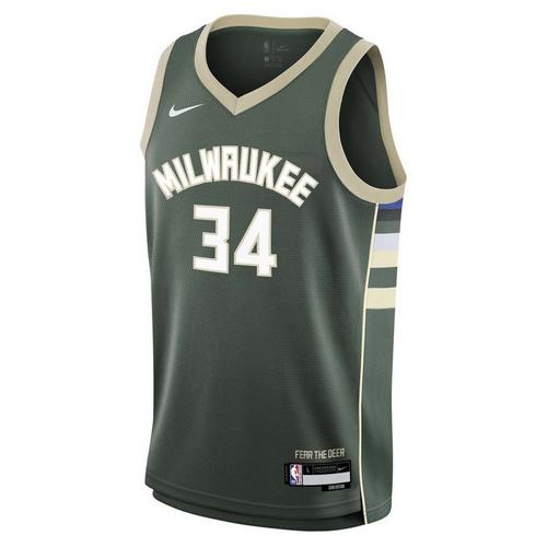 Nike Kids' Milwaukee Bucks Giannis Antetokounmpo #34 Icon Edition Jersey - Primary Image
