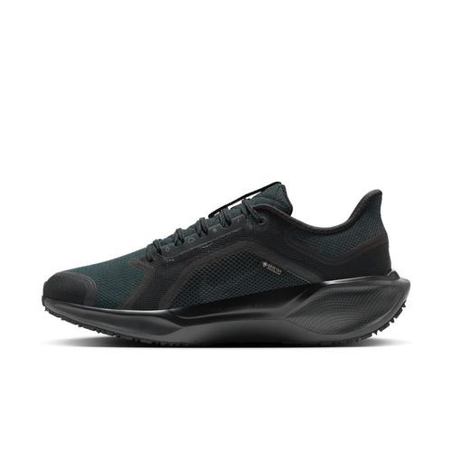 Men's Nike Pegasus 41 GORE-TEX Running Shoes - Primary Image