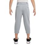 Youth Boys' Nike Vapor Select 2 High Baseball Pants - Thumbnail 5 of 6