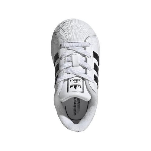 adidas gazelle silver green womens Unisex Adidas Adizero Avanti | 3k to 10k Long Distance Racing Spikes