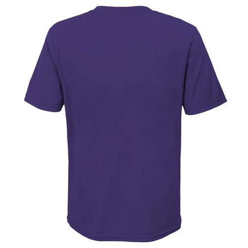 Nike Kids' Minnesota Vikings Primary Logo T-Shirt - Primary Image