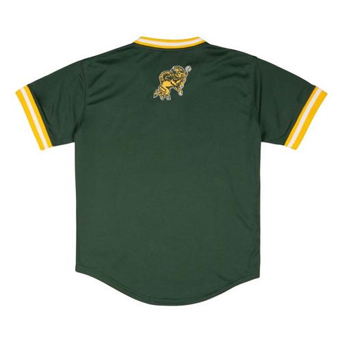 Homefield Apparel North Dakota State Bison Baseball PO Jersey - Primary Image