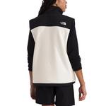 Men's The North Face Retro Denali Vest - Thumbnail 5 of 5