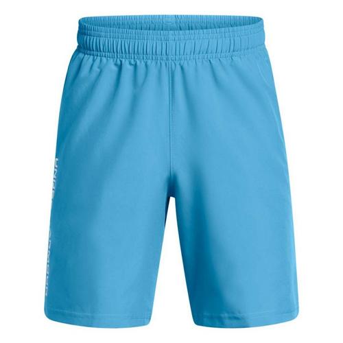 Boys' Under Armour Tech Woven Wordmark Shorts - Primary Image