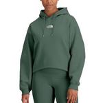 Women's The North Face Evolution High-Low Hem Hoodie - Thumbnail 1 of 2