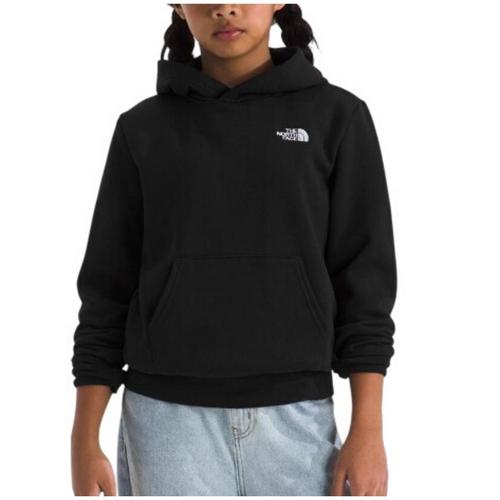 Kids' The North Face Evolution EMB Hoodie - Primary Image