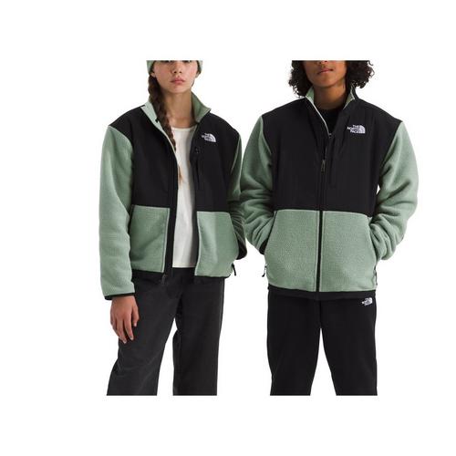 Kids' The North Face Denali Fleece Jacket - Primary Image