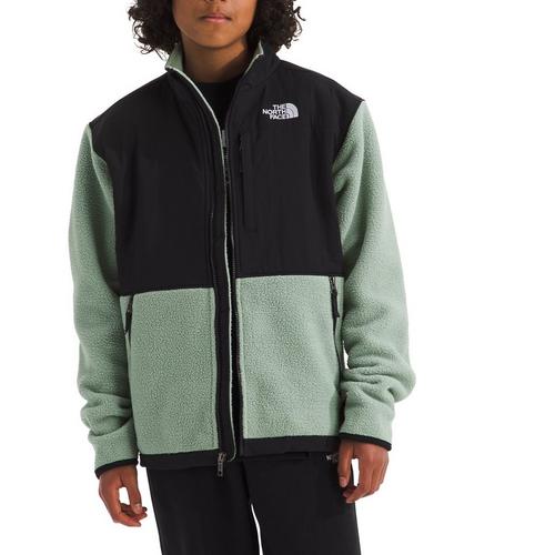 Kids' The North Face Denali Fleece Jacket - Primary Image