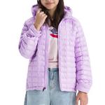 Kids' The North Face Thermoball Hooded Puffer Jacket - Thumbnail 2 of 9
