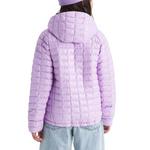 Kids' The North Face Thermoball Hooded Puffer Jacket - Thumbnail 8 of 9