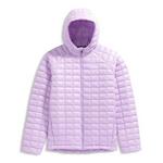 Kids' The North Face Thermoball Hooded Puffer Jacket - Thumbnail 9 of 9