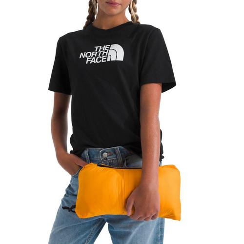 Kids' The North Face 1996 Retro Nuptse Puffer Jacket - Primary Image