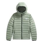 Women's The North Face Classic Down Hooded Puffer Jacket - Thumbnail 1 of 2