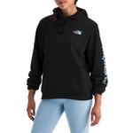 Women's The North Face Evolution Graphic Hoodie - Thumbnail 1 of 3