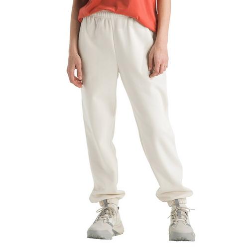 Women's The North Face Evolution Simple Dome Regular Pants - Primary Image