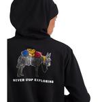 Men's The North Face Evolution Pack Graphic Hoodie - Thumbnail 2 of 3
