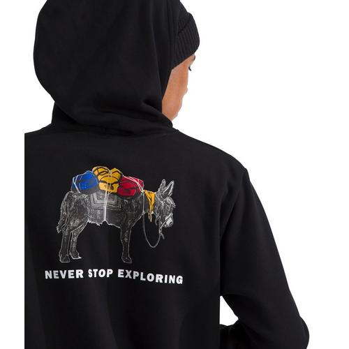 Men's The North Face Evolution Pack Graphic Hoodie - Primary Image