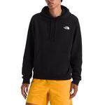 Men's The North Face Evolution Pack Graphic Hoodie - Thumbnail 3 of 3