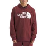 Men's The North Face Tekno Logo Hoodie - Thumbnail 1 of 4