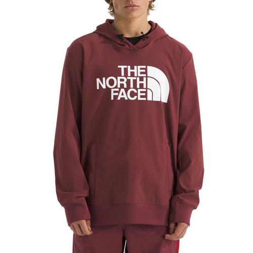 Men's The North Face Tekno Logo Hoodie - Primary Image