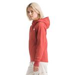 Women's The North Face Shelbe Raschel Hooded Softshell Jacket - Thumbnail 5 of 6