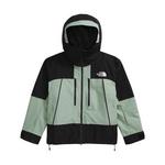 Women's The North Face GTX Hex Hooded Jacket - Thumbnail 1 of 2