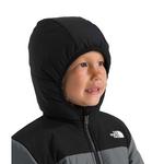 Toddler The North Face Reversible Shasta Full Zip Hooded Puffer Jacket - Thumbnail 4 of 5