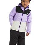 Toddler The North Face Freedom Hooded Jacket - Thumbnail 5 of 6