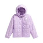 Boys' The North Face Reversible Shasta Hooded Puffer Jacket - Thumbnail 5 of 5