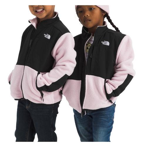 Toddler The North Face Denali Hooded Fleece Jacket - Primary Image