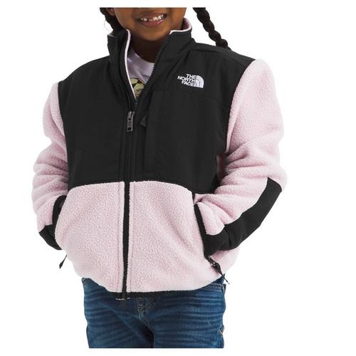 Toddler The North Face Denali Hooded Fleece Jacket - Primary Image