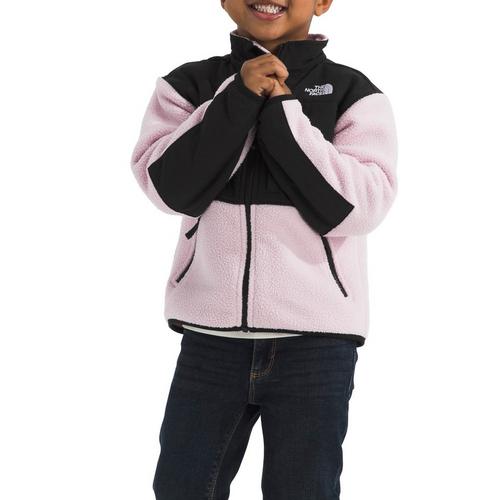 Toddler The North Face Denali Hooded Fleece Jacket - Primary Image