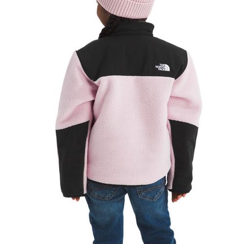 Toddler The North Face Denali Hooded Fleece Jacket - Primary Image