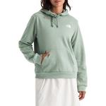 Women's The North Face Evolution Floral Box NSE Hoodie - Thumbnail 2 of 3