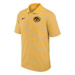 Nike Iowa Hawkeyes Stripe Polo - Thumbnail 1 of 2