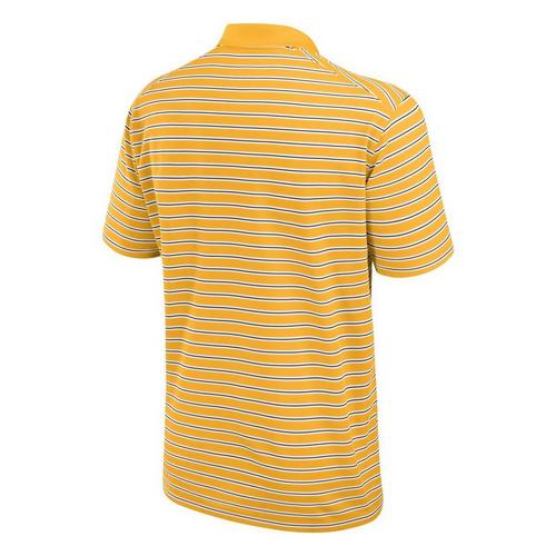 Nike Iowa Hawkeyes Stripe Polo - Primary Image