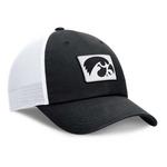 Nike Iowa Hawkeyes Club Flexfit Hat - Thumbnail 1 of 4