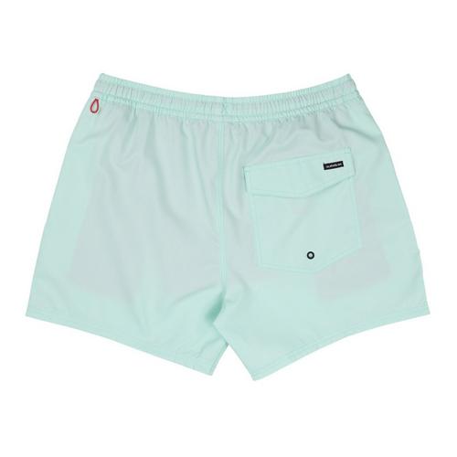 Men's Quiksilver Everyday Solid Volley 15 Swim Trunks | SCHEELS.com