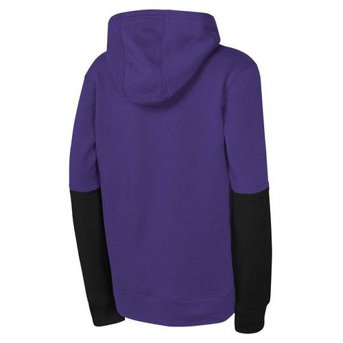 Nike Kids' Minnesota Vikings Team Issued Hoodie - Primary Image