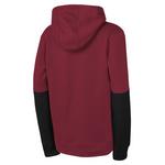 Nike Kids' Arizona Cardinals Team Issued Hoodie - Thumbnail 2 of 2