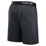 Nike Minnesota Twins 2025 Authentic Collection Knit Shorts - Thumbnail 2 of 2